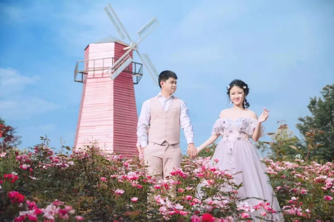 ky.com_董明珠被免职的背后有何深意?(图2) ky.com_董明珠被免职的背后有何深意?(图2)