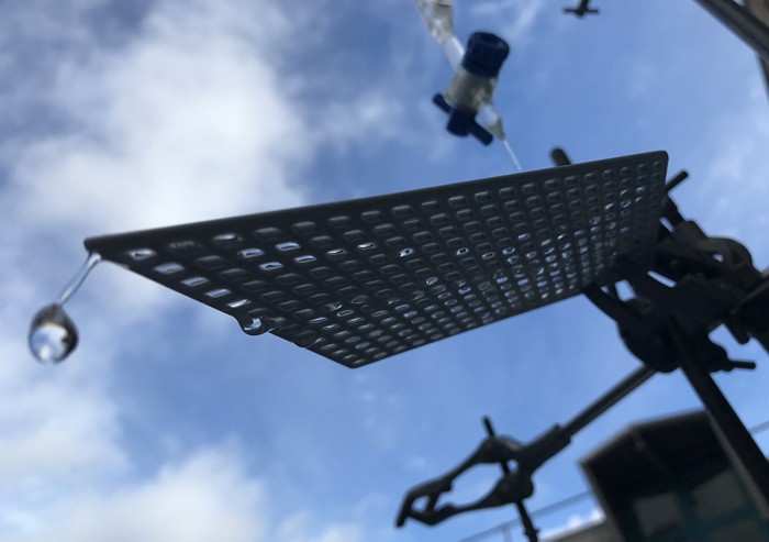 ky.com|紫菜豆腐脑的做法_紫菜豆腐脑怎么做_爱烹饪的女主播的菜谱(图2)