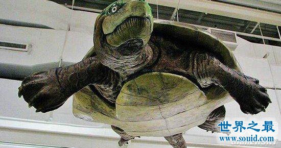 奶香麻花的做法_奶香麻花怎么做_美厨娘飘雪的菜谱‘ky.com’(图1)