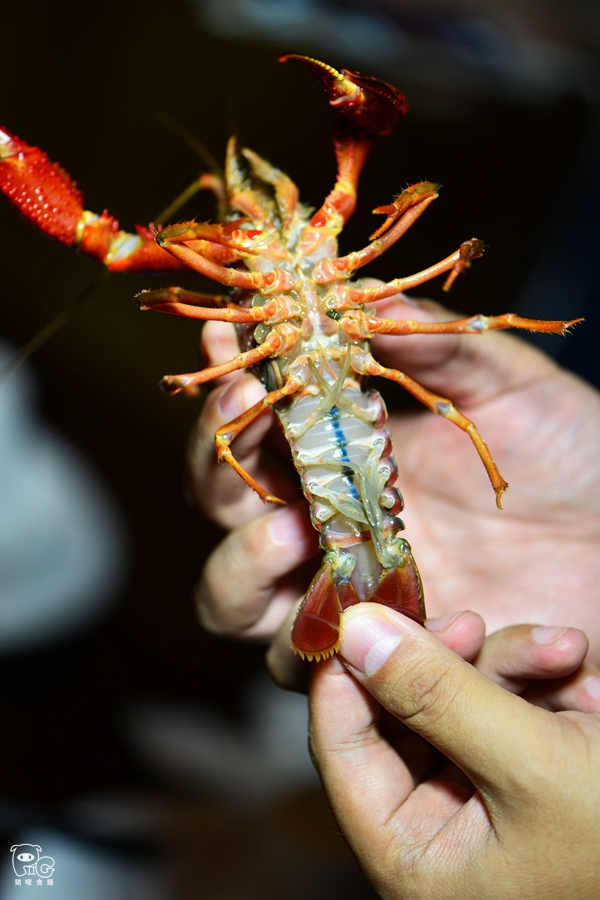 郑州新建六所中小学幼儿园今年暑期开始招生-kycom(图2)