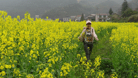 美食推荐：爆炒牛筋，川香土豆烧排骨，菌汤面条的做法_kycom(图1)