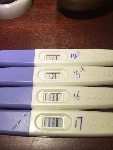 kycom|沙琪玛的做法_沙琪玛怎么做_o小龙o的菜谱(图2)