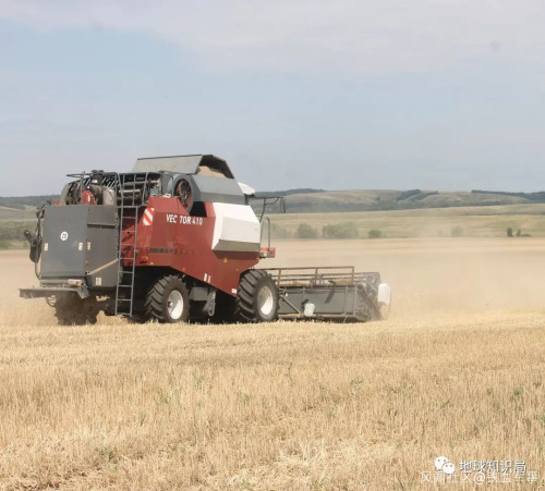 精选美食：番茄鱼丸、柠檬蜂蜜虾、一碗香、芦笋萝卜炒香菇的做法|kycom(图2)