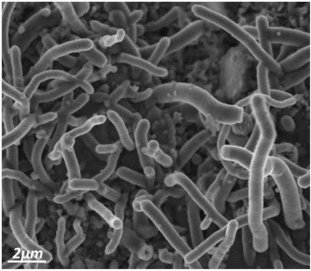 ‘kycom’香气扑鼻的几道家常美食，味道鲜美又简单易做，非常适合下饭(图4)